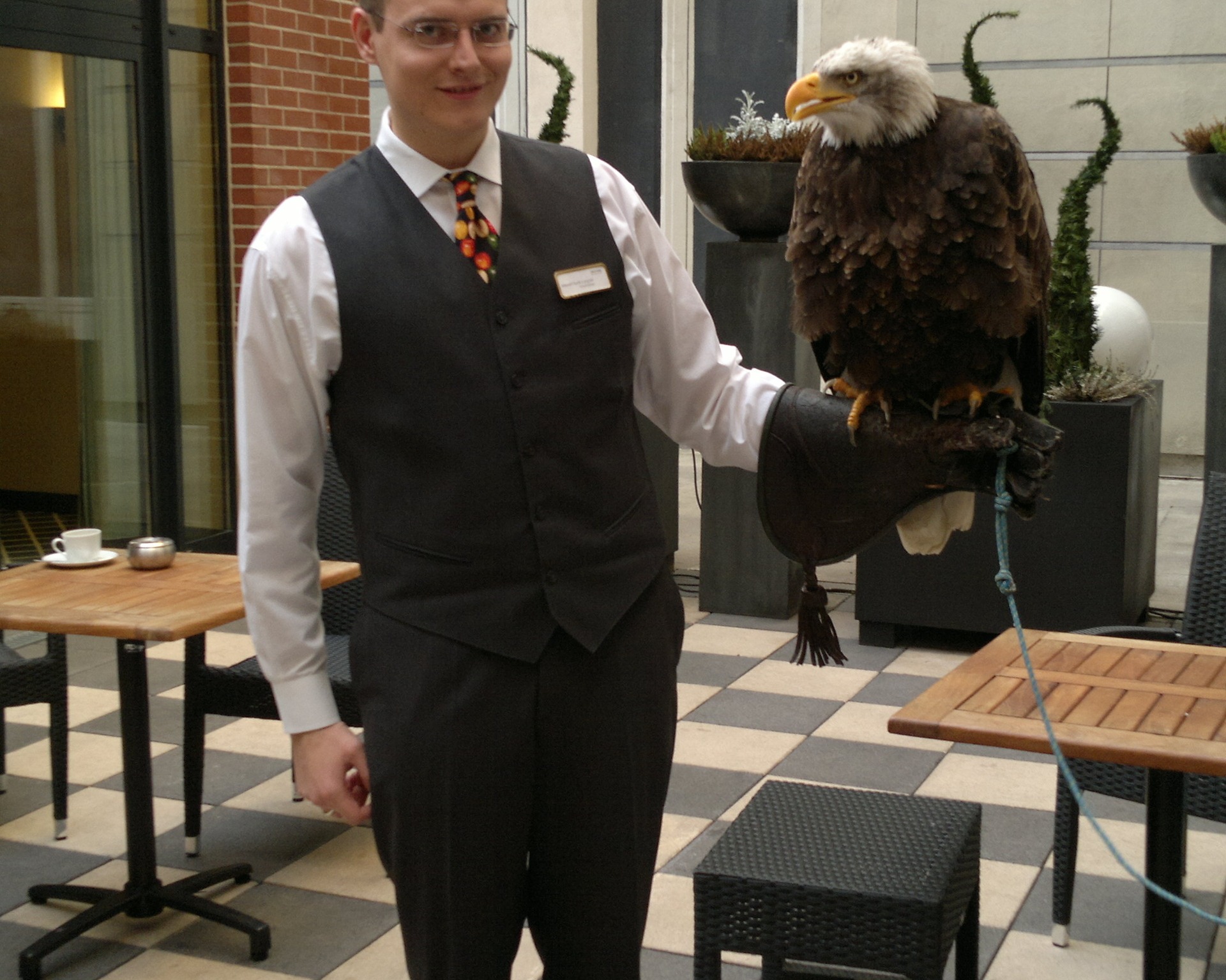 Weißkopfseeadler im relexa hotel Berlin Weißkopfseeadler im relexa hotel Berlin